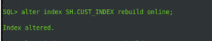 Index Rebuild In Oracle Database
